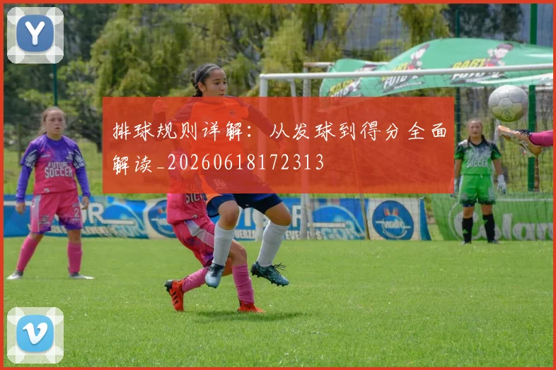 排球规则详解：从发球到得分全面解读_20260618172313