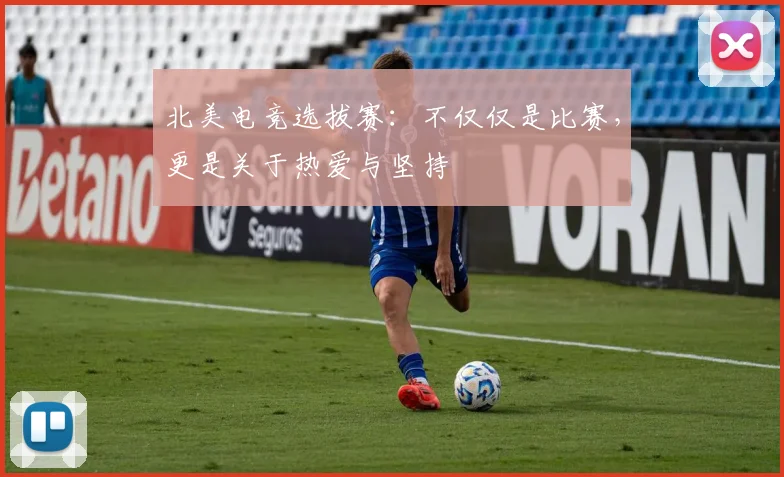 北美电竞选拔赛:不仅仅是比赛,更是关于热爱与坚持