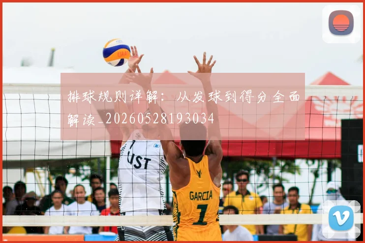 排球规则详解:从发球到得分全面解读_20260528193034