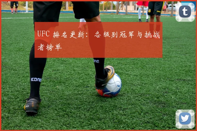 UFC 排名更新：各级别冠军与挑战者榜单