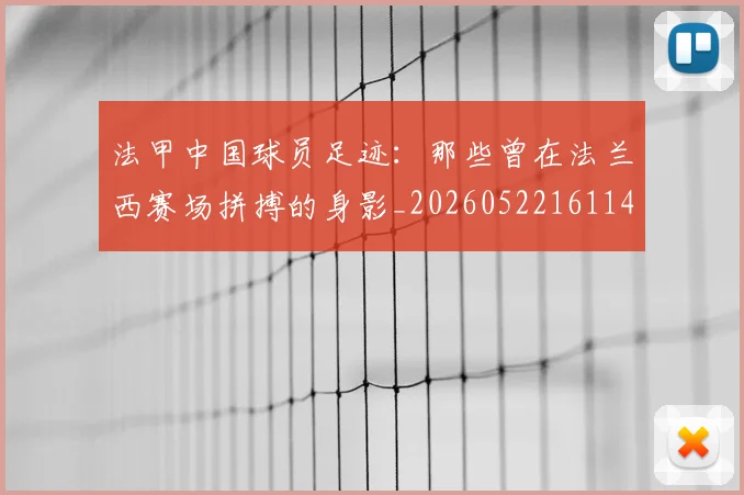 法甲中国球员足迹：那些曾在法兰西赛场拼搏的身影_20260522161146