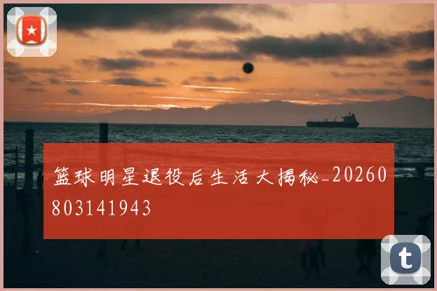 篮球明星退役后生活大揭秘_20260803141943